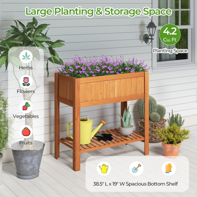 Outdoor Raised Garden Bed Fir Wood Planter Box with Bottom Storage Shelf