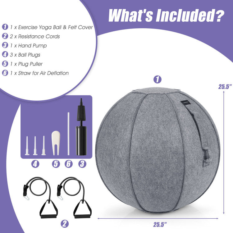 Yoga Sitting Ball with Felt Cover and Air Pump for Home, Gym and Hospital