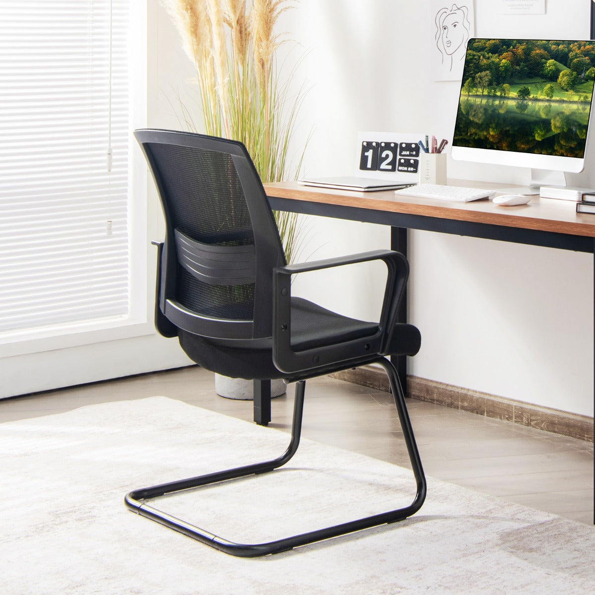 Conference Chair with Adjustable Lumbar Support and Sled Base-2 pieces